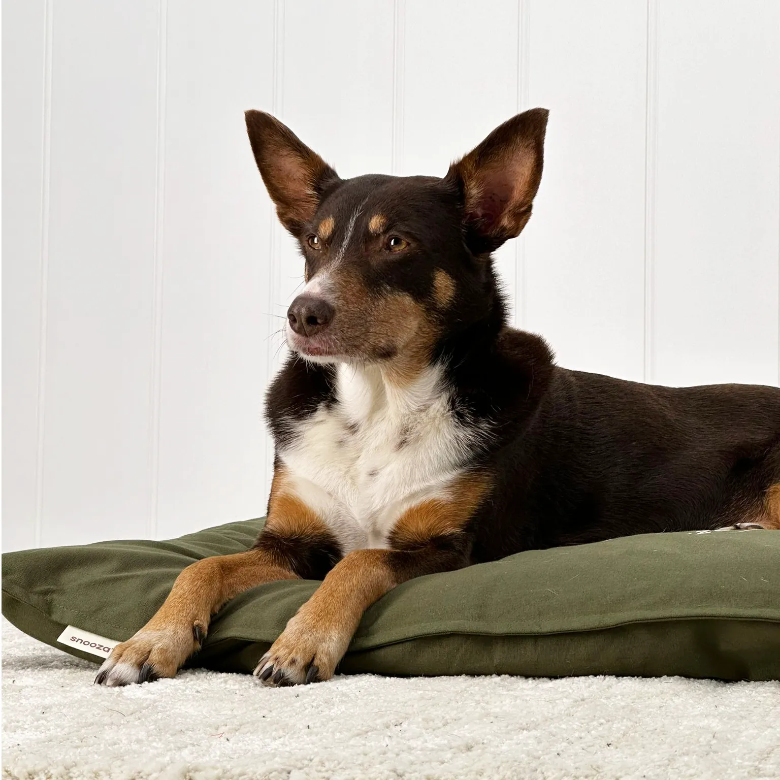 Cotton Canvas Futon